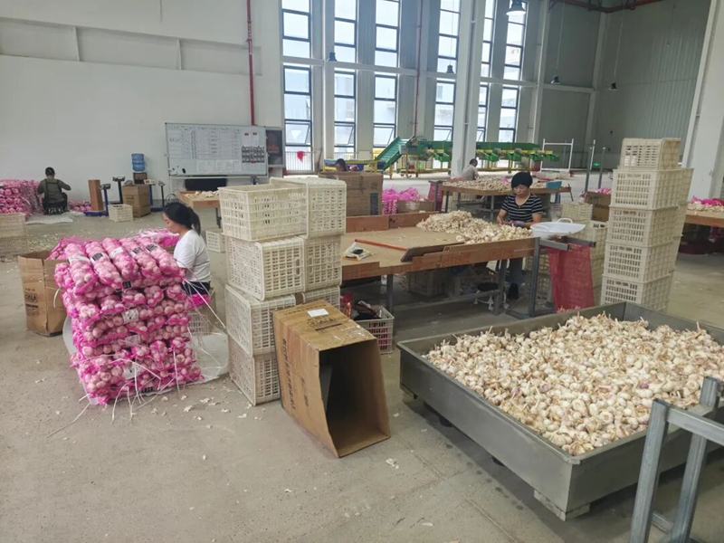 1首單“區內直轉”業務在貴陽綜保區落地 .jpg