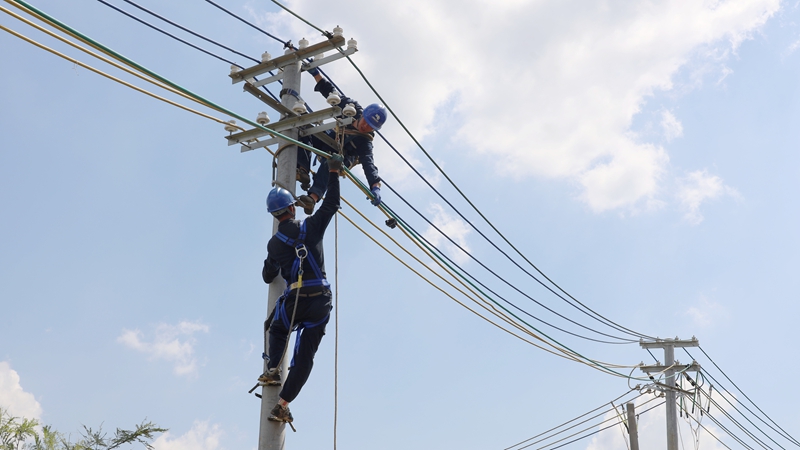 配電線路搶修現場。盧關文 攝.JPG