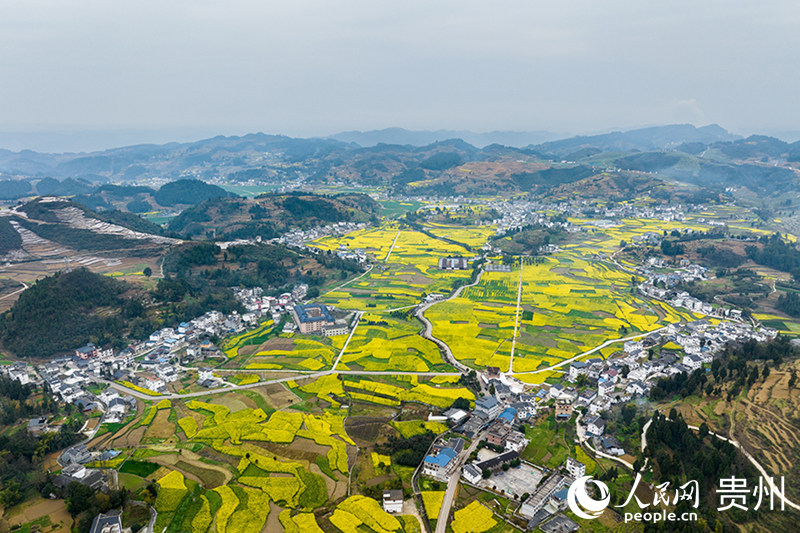 官倉“和美鄉村”新畫卷。人民網記者 涂敏攝