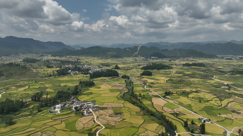 灣灘河鎮翠微村糧食壩區。