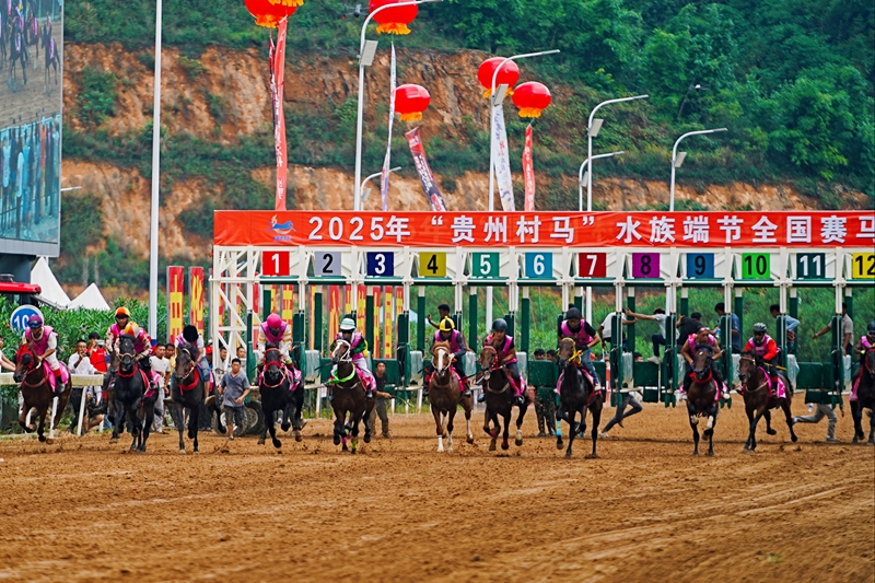 駿馬飛馳。