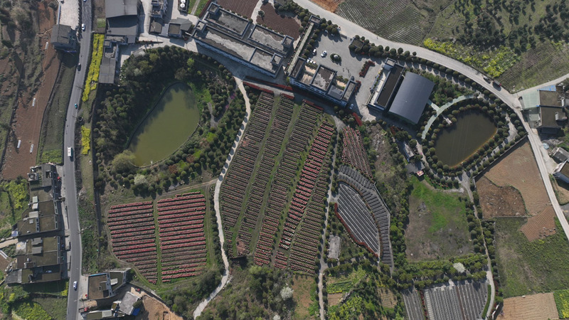 貴州金沙禹謨泡木灣醋業有限公司鳥瞰圖。金莎攝