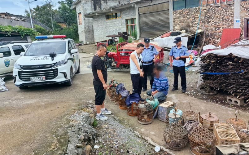 采取強制措施！注意，這些鳥類不可非法捕捉、買賣、運輸和飼養！