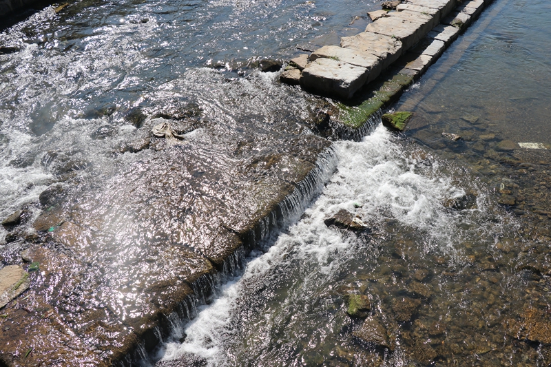 七星關區沔魚河新莊生態系統治理修復工程河段，清澈的河水潺潺流淌 馬諾楠 攝.JPG