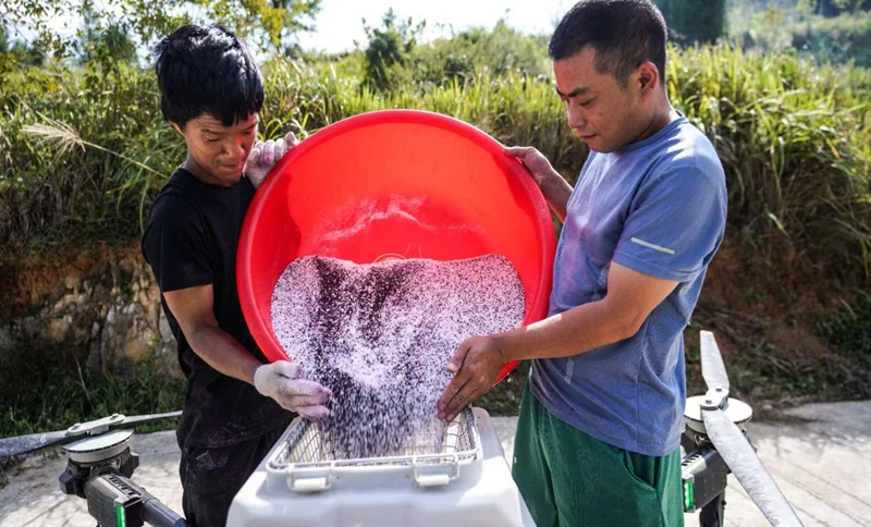貴州沿河：9.45萬畝油菜播種忙 農機農技助秋播.jpg