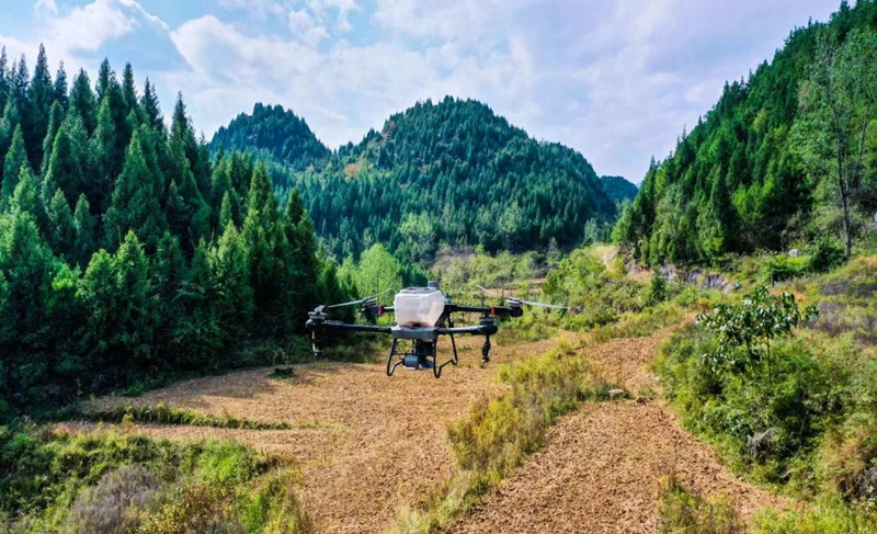 無人機在田地上空飛播撒種.jpg