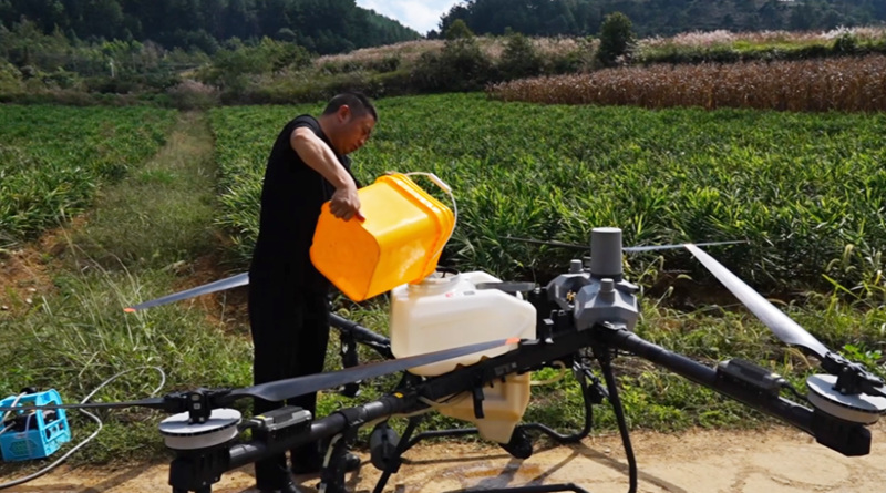 西秀區楊武鄉科技賦能小黃姜產業增產增收。