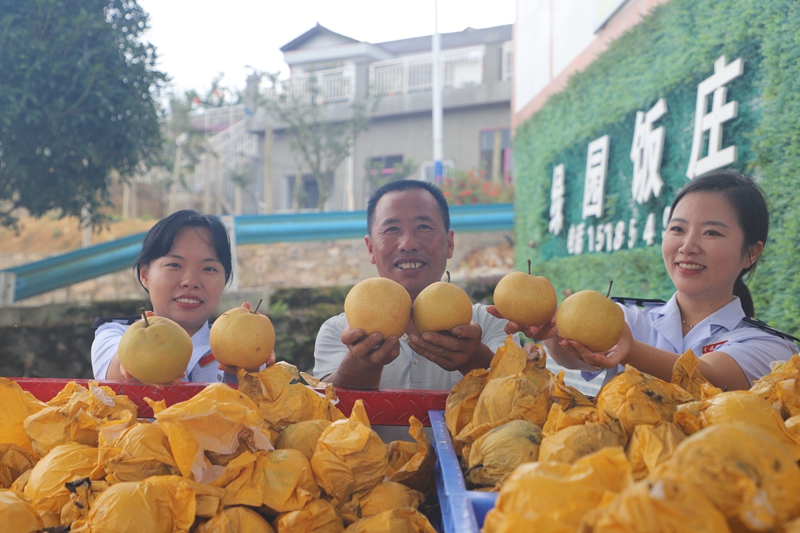 稅務工作人員為福梨種植戶宣講稅收知識，助力其合規經營。