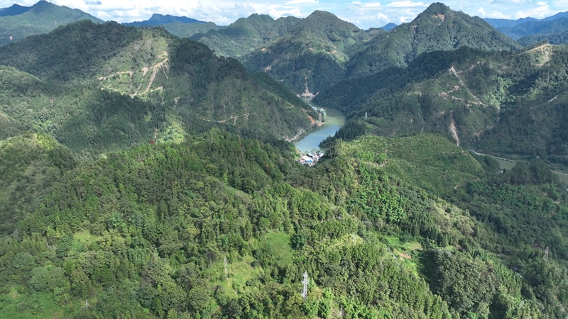 網絡科技賦能養殖業，大山深處駛上智慧快車。