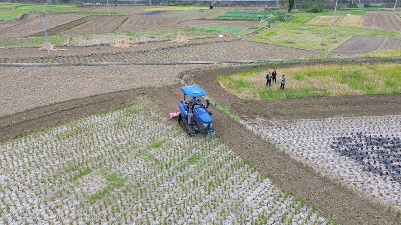 旋耕機正在翻耕土地。