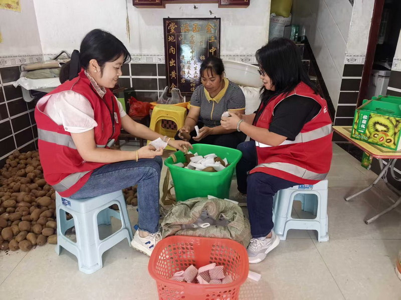 下巴地駐村工作隊員為群眾打包獼猴桃。