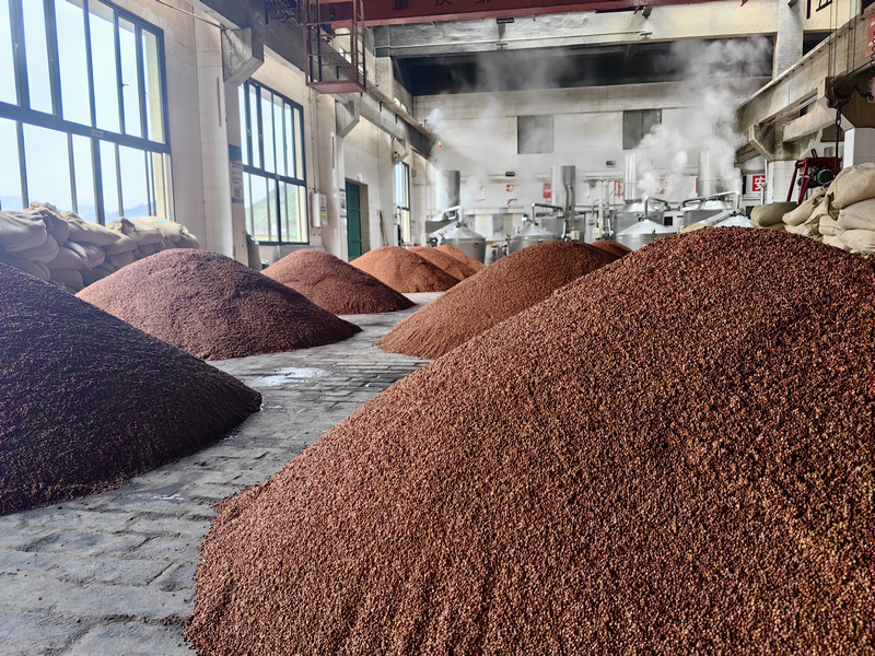 潤粱后的高粱靜靜等待其充分吸水。