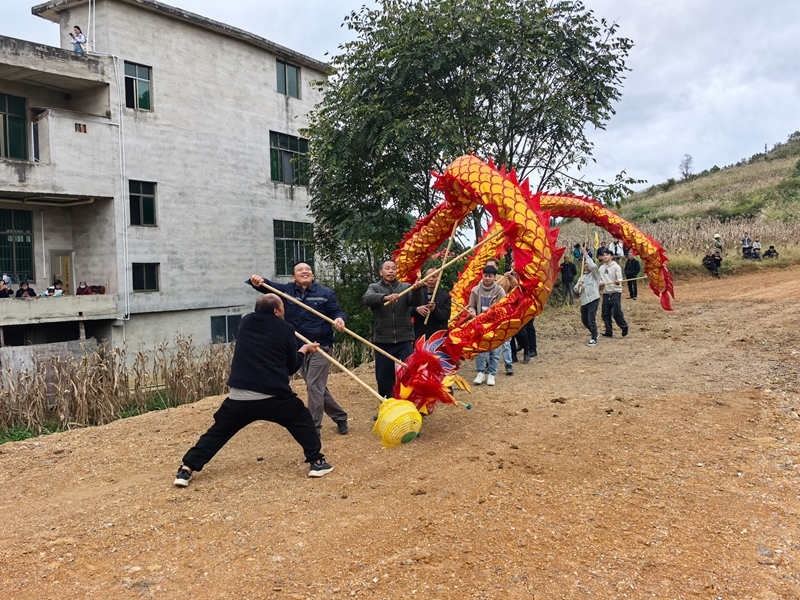 賽馬、歡歌、舞龍……貴州獨山縣玉水鎮端節氛圍感拉滿。