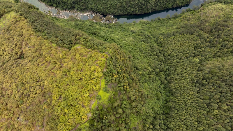 羅甸秋日一景。