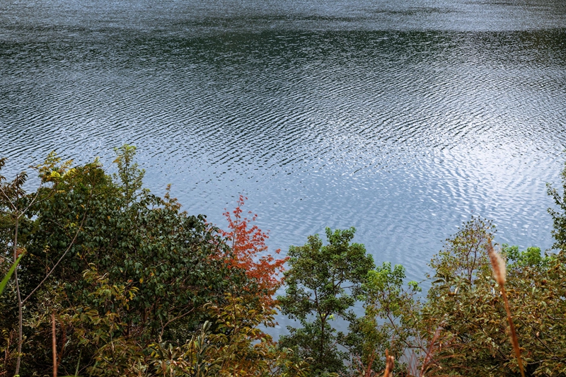 羅甸秋日一景。