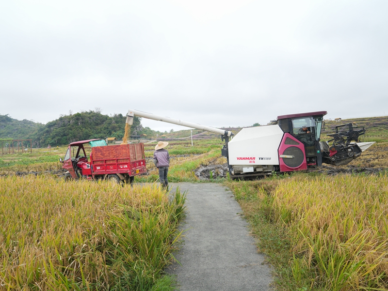 產銷兩旺干勁足。