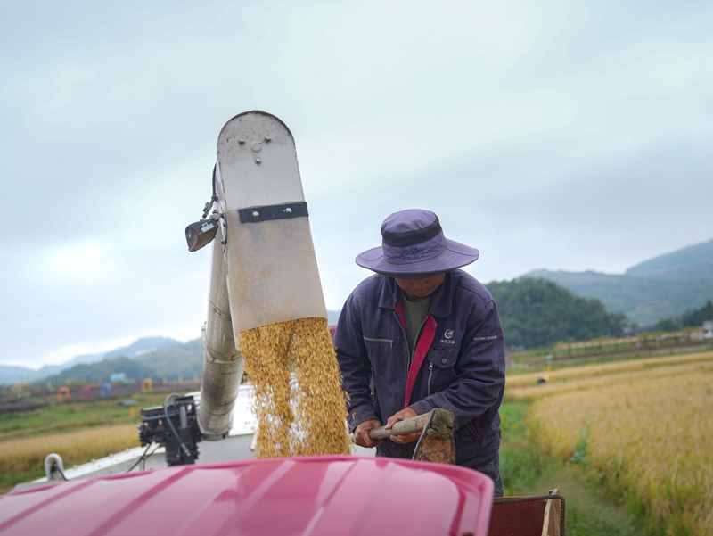 產銷兩旺干勁足。