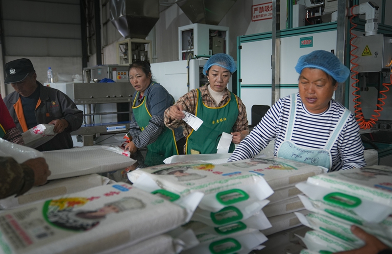 產銷兩旺干勁足。