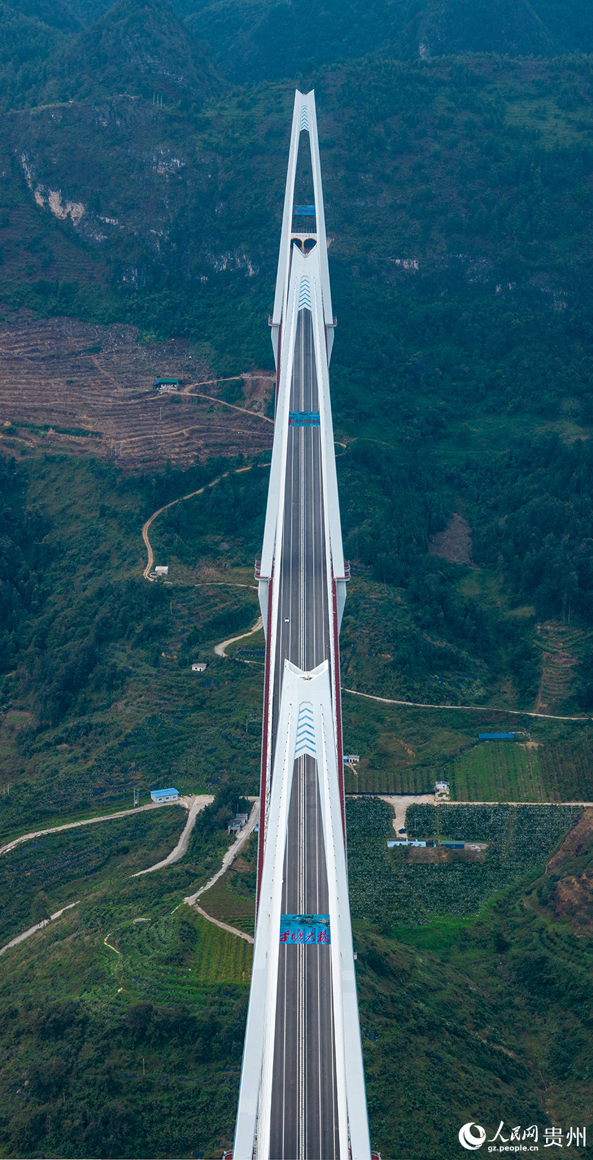 航拍平塘特大橋。人民網記者 涂敏攝