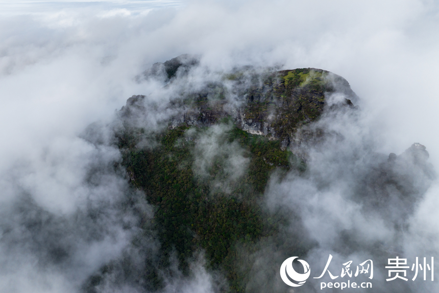 云霧彌漫的梵凈山巔。人民網記者 涂敏攝