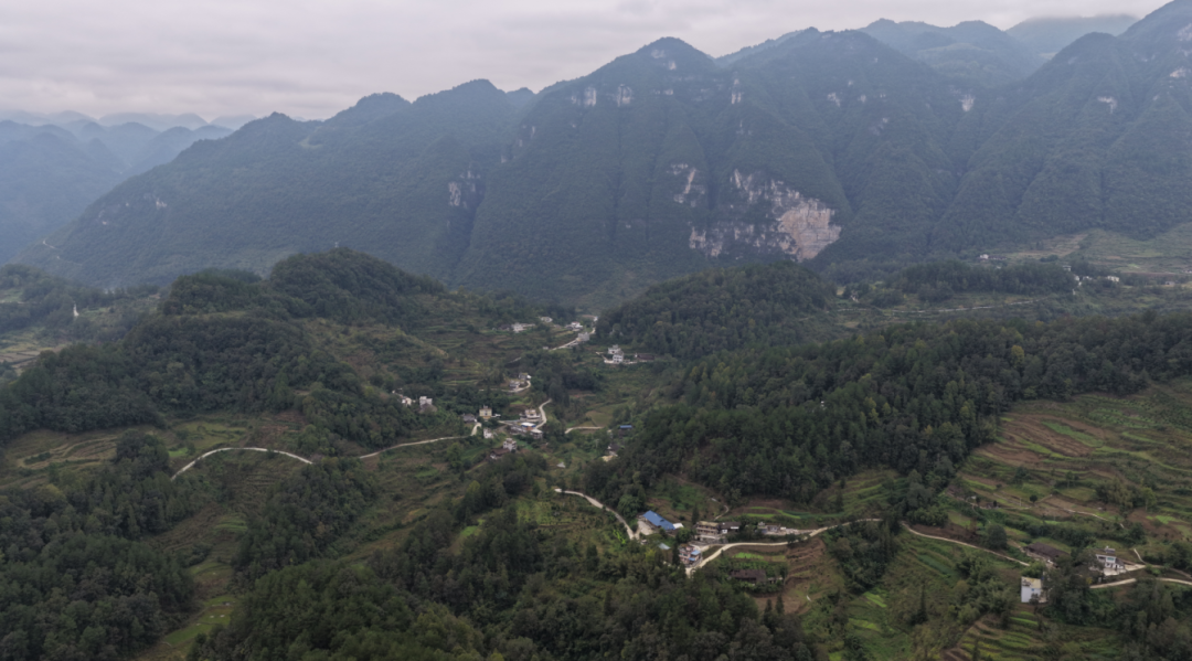 圖為蕉壩鎮新茶村航拍。鄒琴印攝