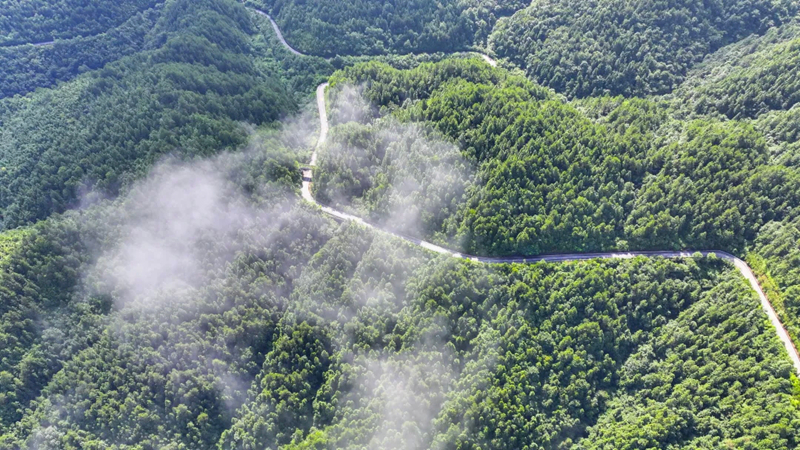 梵凈山加強文化遺產保護利用推進文旅融合發展。
