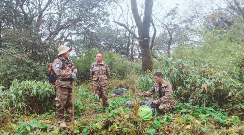貴州梵凈山保護區發現新物種。