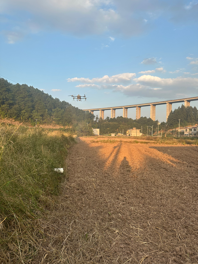 無人機正在進行肥料播撒。