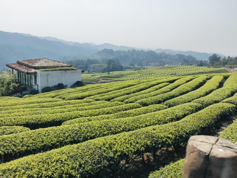 獨山縣影山鎮：“三拓寬”賦能鄉村振興。