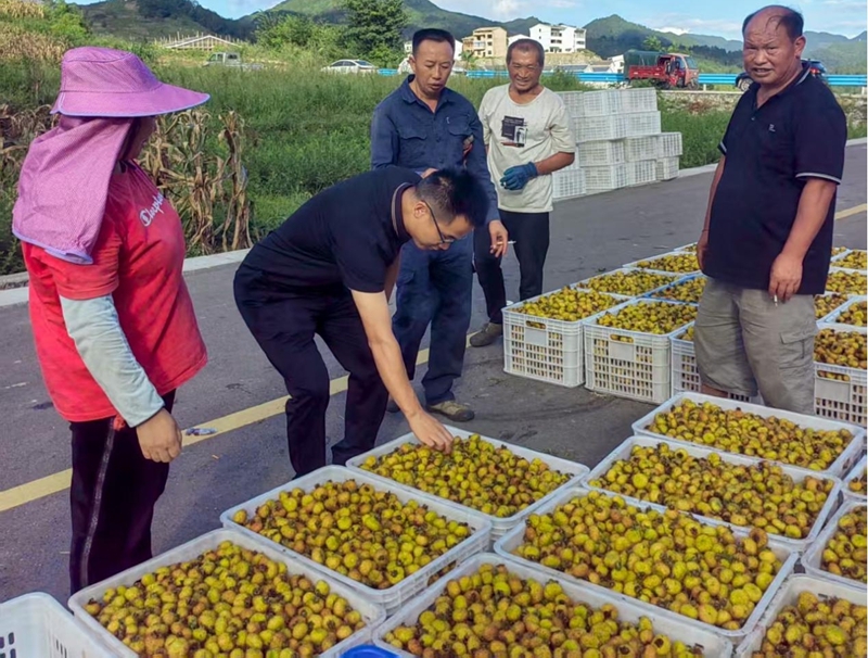 獨山縣影山鎮：“三拓寬”賦能鄉村振興。