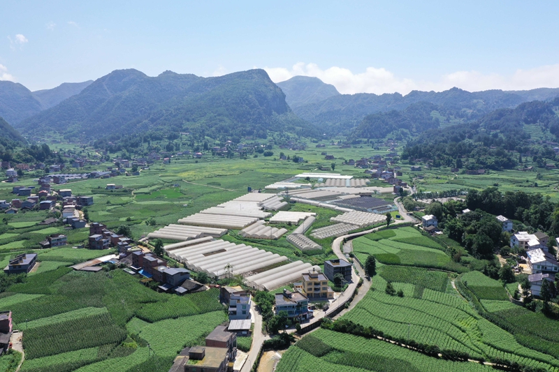 4、吼灘蔬菜基地的航拍。刁苓沙 攝.jpg