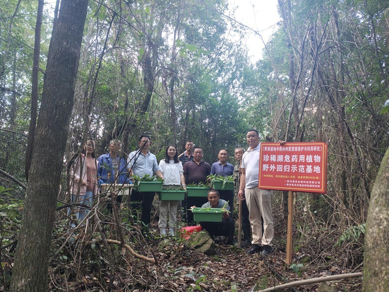 珍稀瀕危藥用植物野外回歸示范基地“落戶”獨山縣上司鎮學莊村。