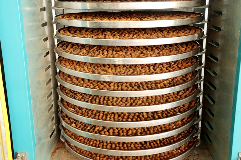 當刺梨遇上紅茶 貴州獨山解鎖特色產業多元新圖景。