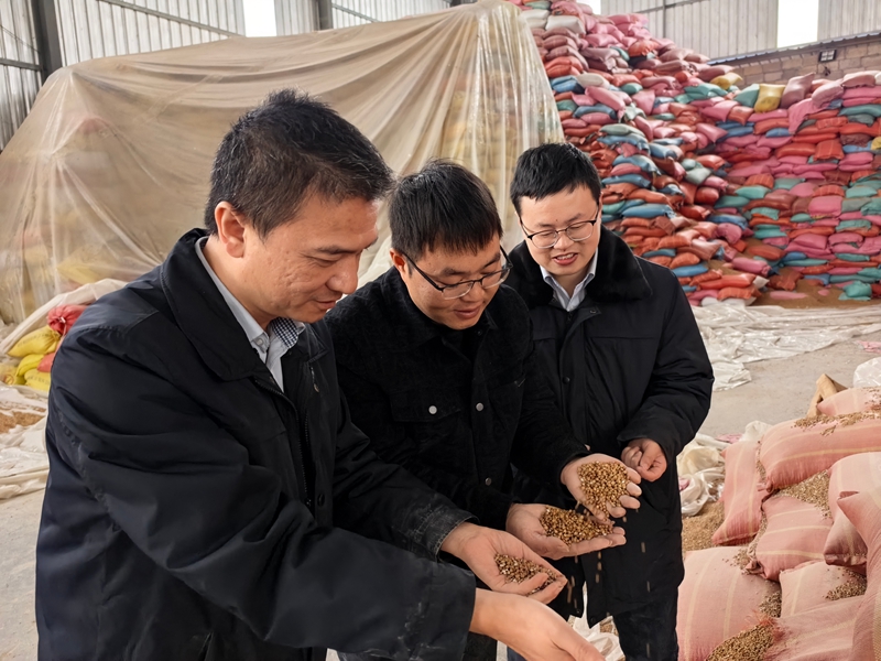 1、郵儲銀行工作人員與企業負責人一同查看剛收購的薏仁米。.jpg