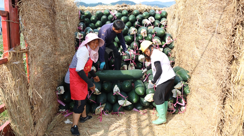 乘勢而上開新局，奮楫揚帆破浪行。