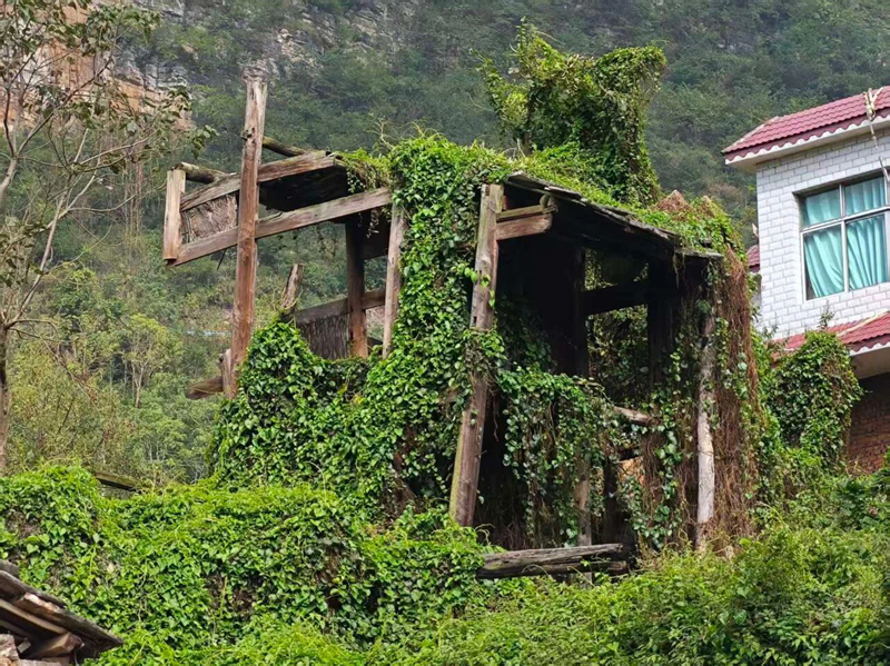 圖為楊家寨突圍戰遺址。