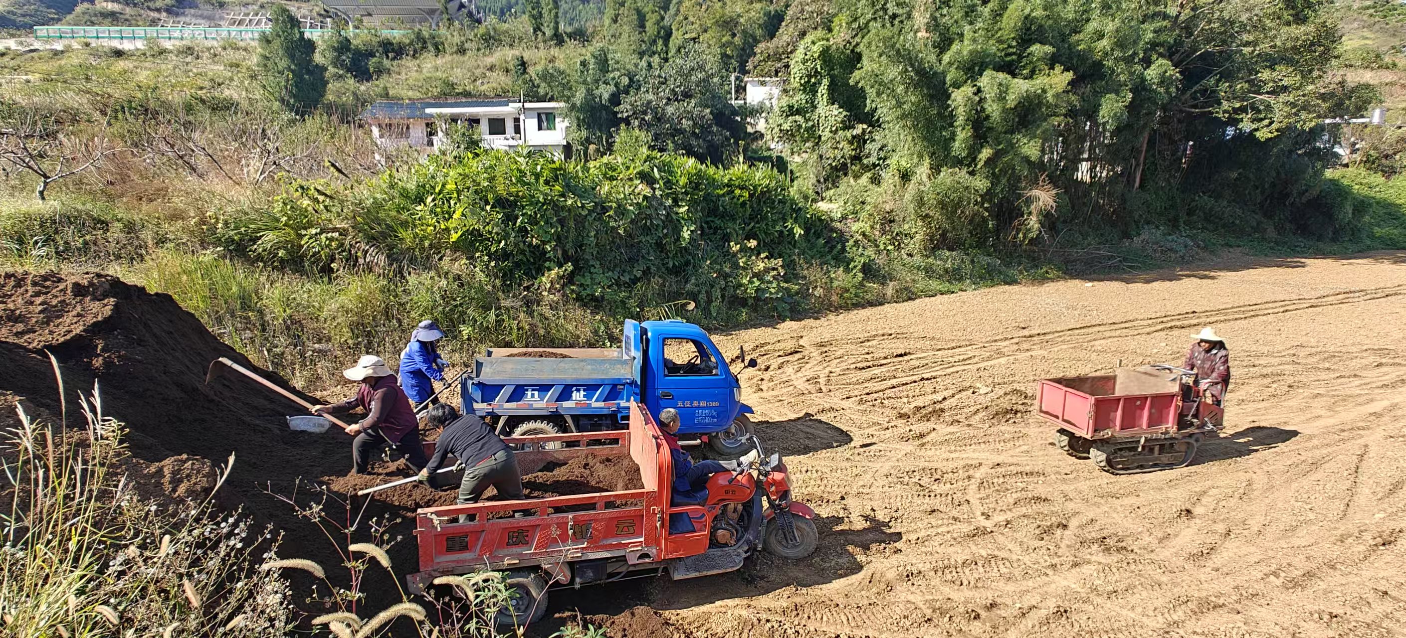 圖為:轉運基料 (胡曉嫻 攝)