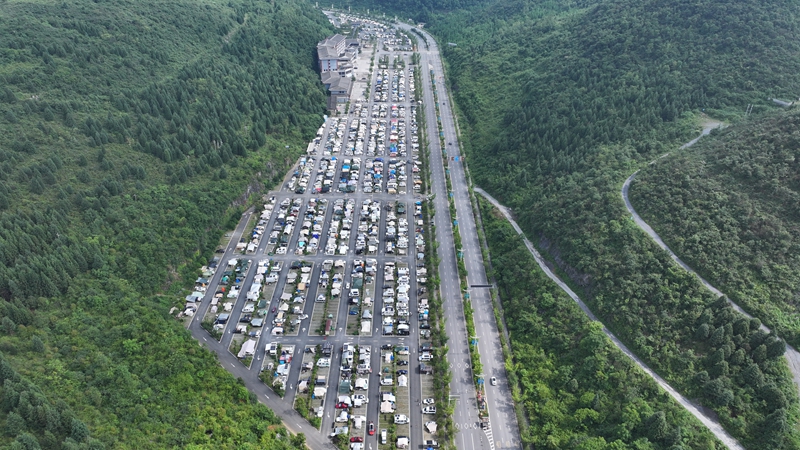 百里杜鵑花冠露營基地。