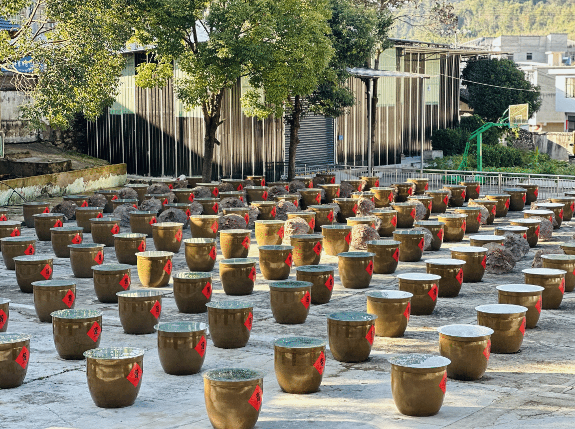 圖為:醬油廠醬油壇子