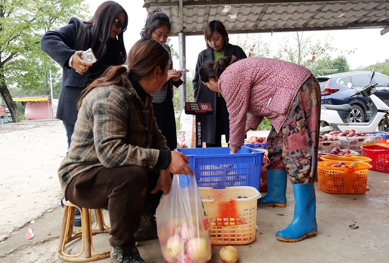 游客在購買蘋果。