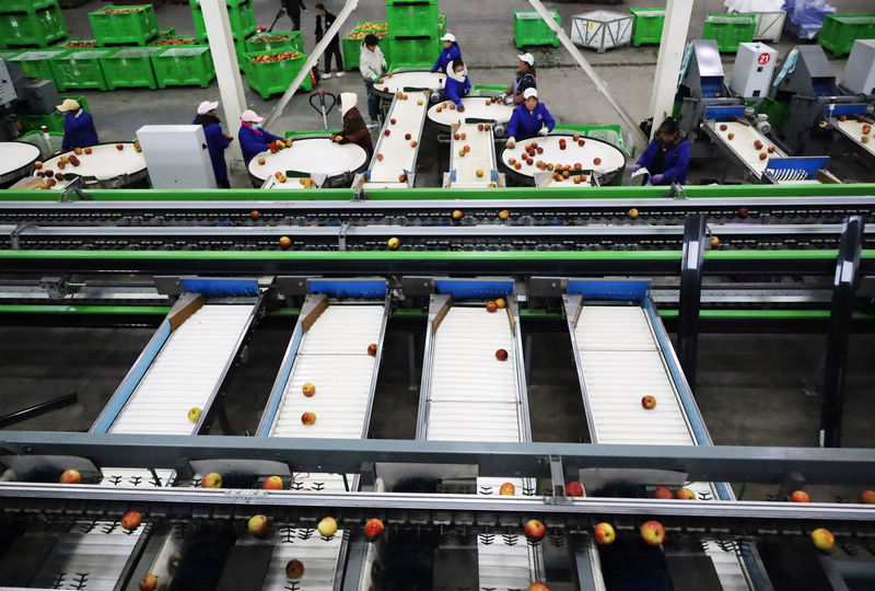 2025年11月4日，工人正在自動化設備生產線上操控設備分級蘋果。