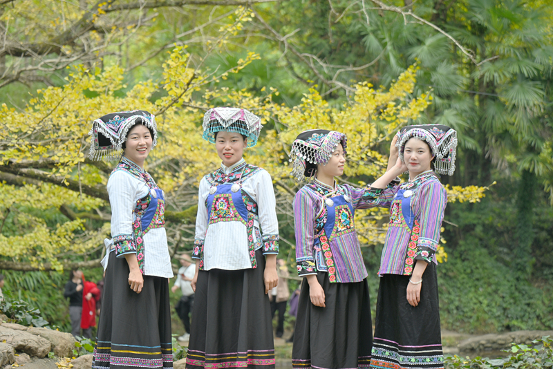 銀杏班成員民族風采。