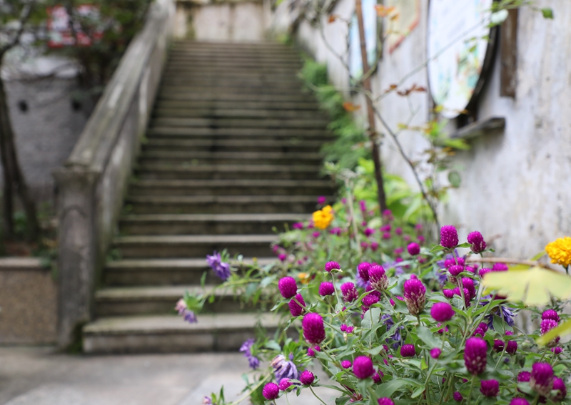 七星關區洪山街道洪山社區老舊小區改造后環境干凈整潔。邱夢如攝