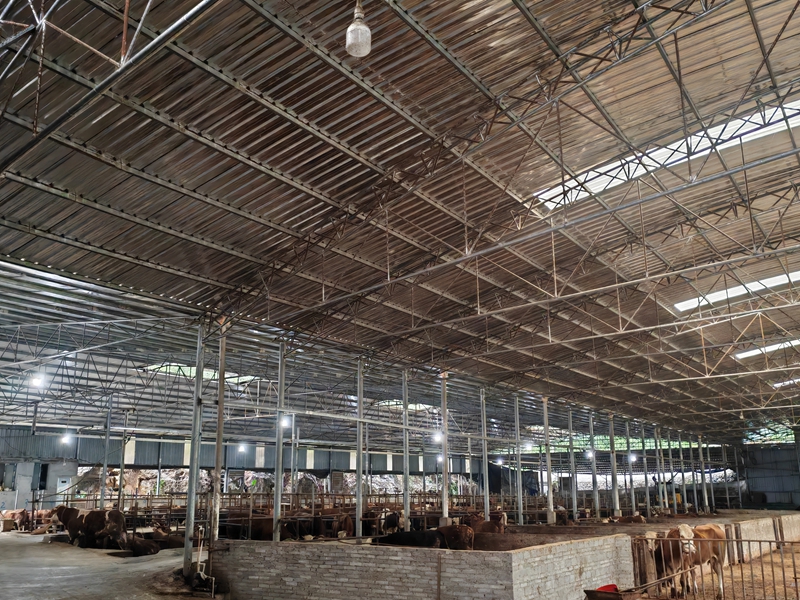 養殖場（蘇暢莉  攝）.jpg