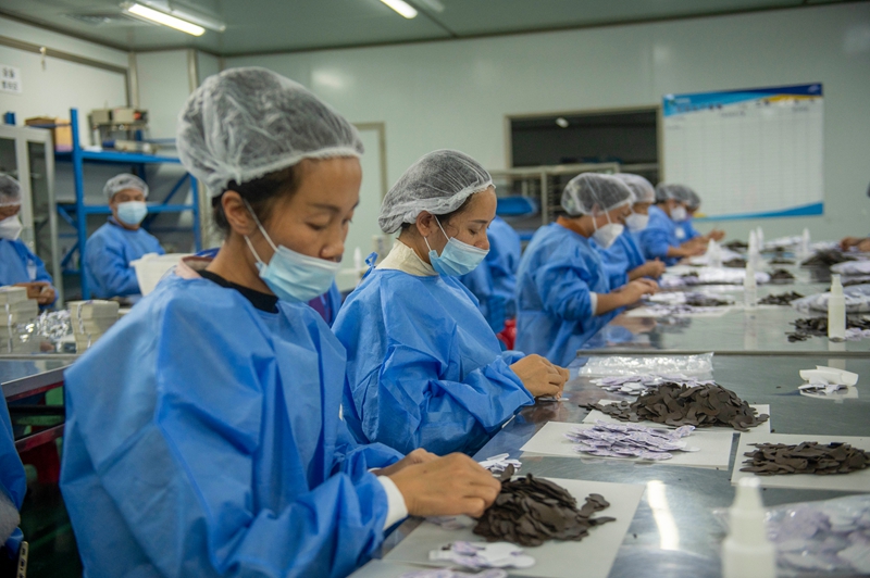 11月11日，在貴州省從江縣美娥工業園區的一家藥企，工人在生產車間趕制訂單。