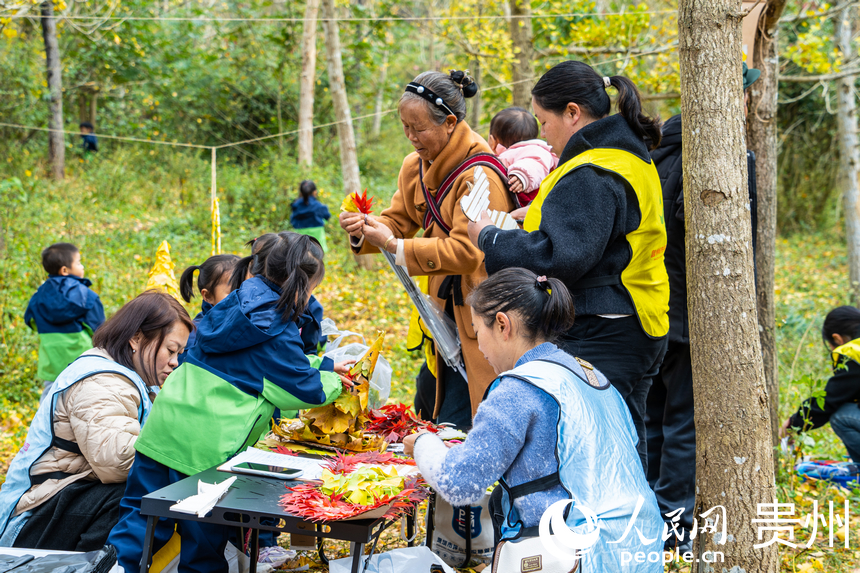 世界古銀杏之鄉迎來游學熱。人民網 陽茜攝